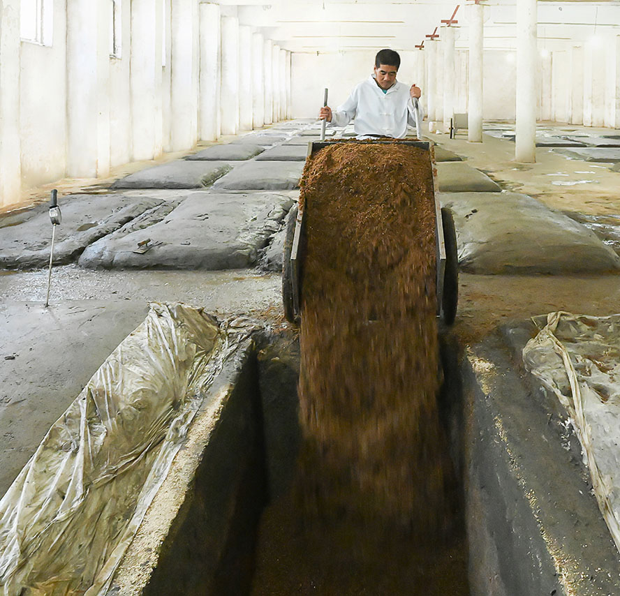 ����ڳ�ʱ����ó���޹�˾